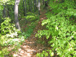 IMG_2841.jpg
