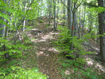 IMG_2842.jpg