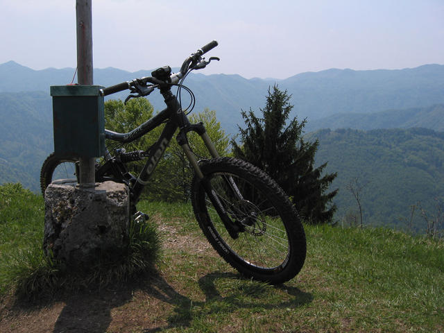 IMG_2844.jpg