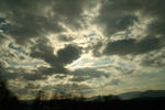 IMG_5011.jpg