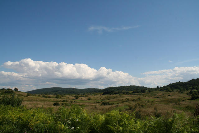 IMG_9714.jpg