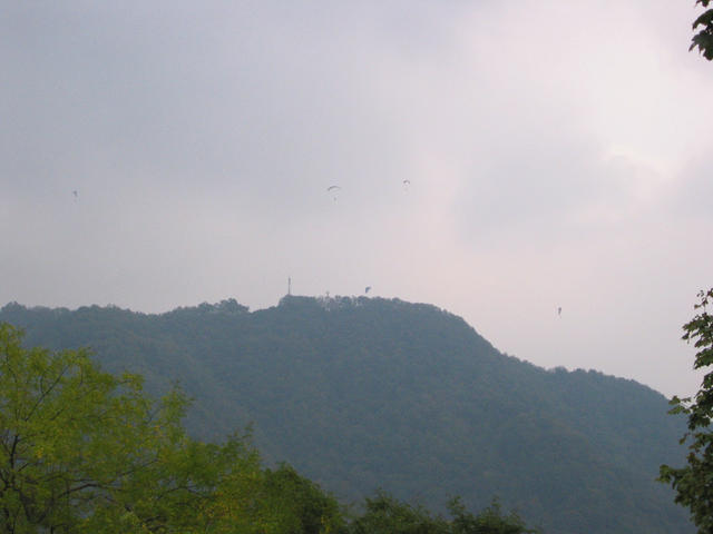 IMG_3335.jpg