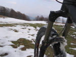 2007 MTB