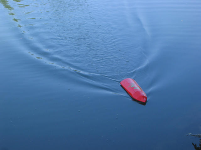 IMG_3881.jpg