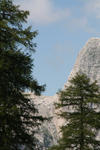 IMG_5468.jpg