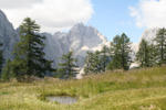 IMG_5473.jpg
