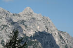 IMG_5440.jpg