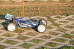 IMG_9245.jpg