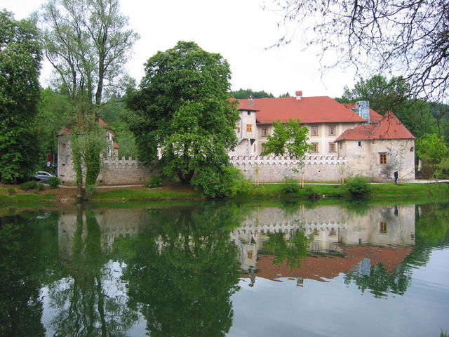 IMG_9307.jpg