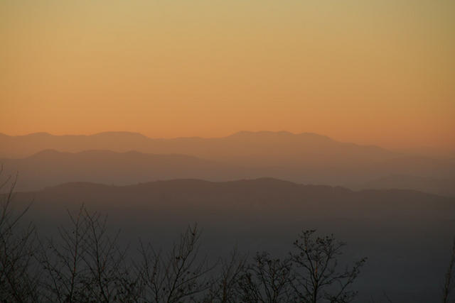 IMG_8872.jpg