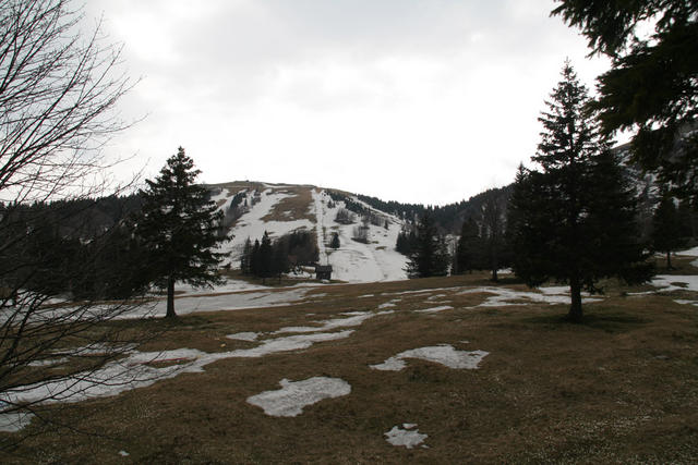 IMG_0178.jpg