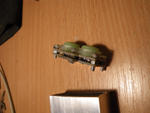 IMGP3770.jpg