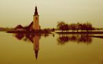 1240179612_bled