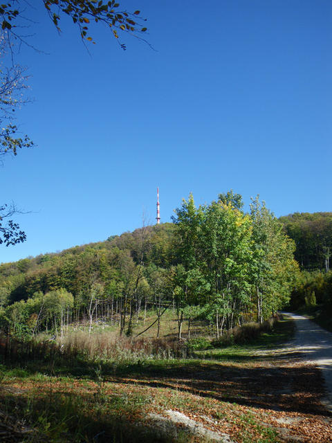IMGP2928