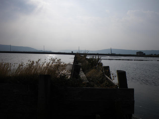 IMGP2847