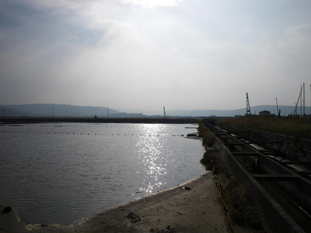 IMGP2848