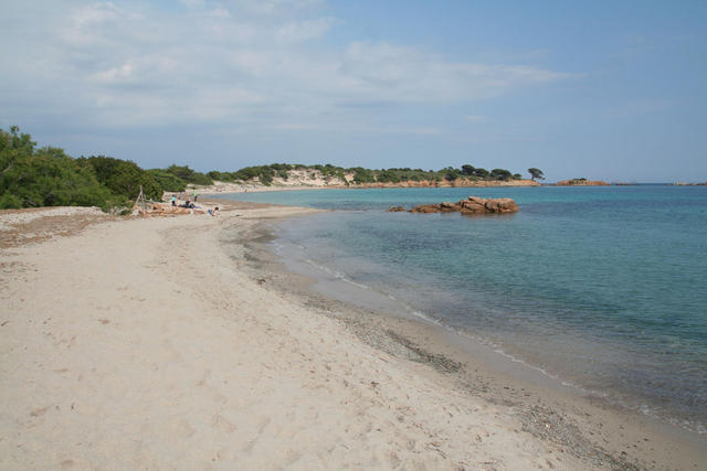 Dolga mivkasta plaža