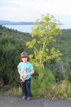 IMG_3249.jpg
