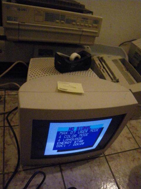 IMGP7301
