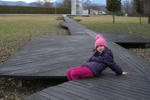 IMG_7103.jpg