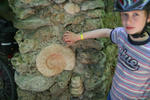 IMG_8245.jpg