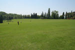 IMG_8200.jpg