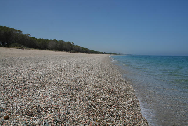 IMG_9632.jpg