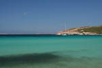 IMG_9892.jpg