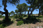 IMG_9728.jpg