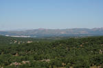 IMG_9745.jpg