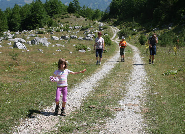 Take potke kmalu zmanjka