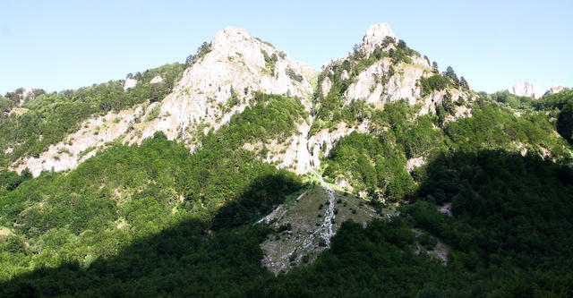 IMG_1137.jpg