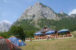 IMG_1775.jpg