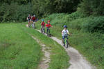 IMG_9876.jpg