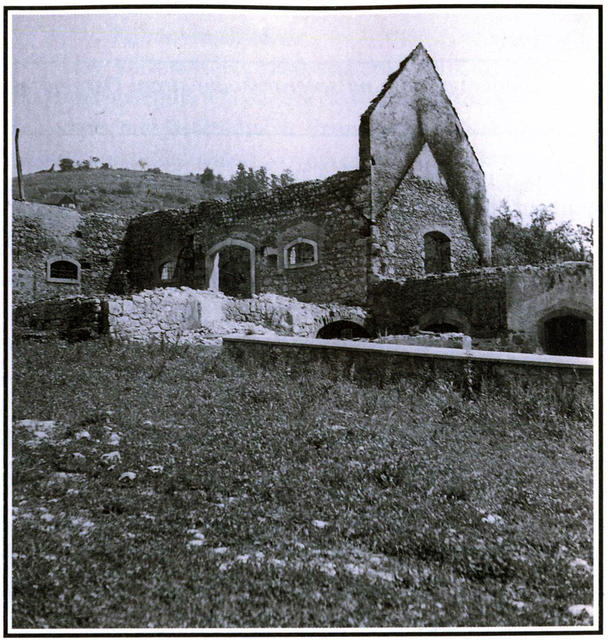bajnof0006