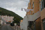 IMG_5545.jpg