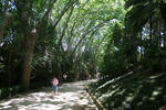 IMG_6009.jpg