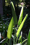 IMG_6112.jpg
