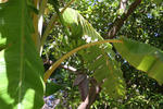IMG_6168.jpg