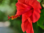 IMG_6105-HDR.jpg