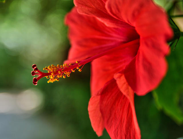 IMG_6105-HDR.jpg