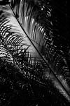 IMG_6128-HDR.jpg