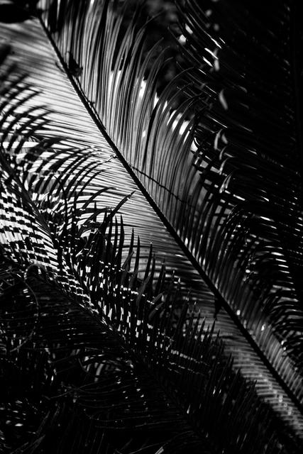 IMG_6128-HDR.jpg
