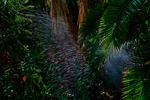 IMG_6131-HDR.jpg