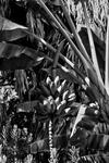 IMG_6170-HDR.jpg