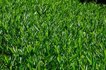 IMG_6172-HDR.jpg
