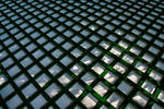 IMG_6174-HDR.jpg
