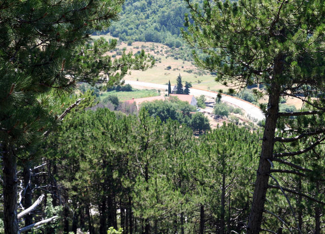 IMG_6812.jpg