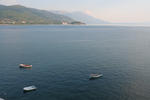 IMG_7225.jpg