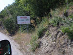 IMGP0788.jpg